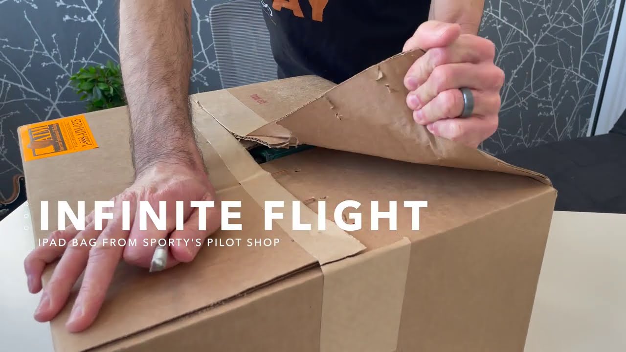 Infinite Flight iPad Bag