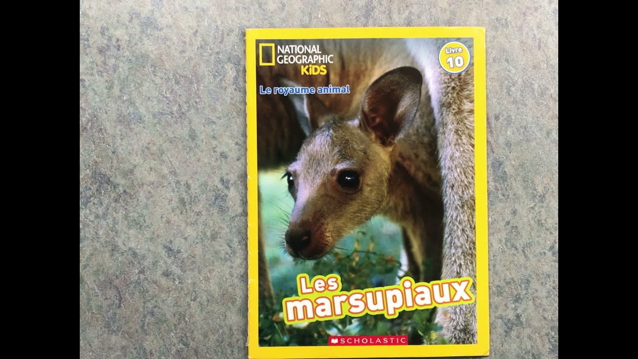 Le royaume animal: les marsupiaux