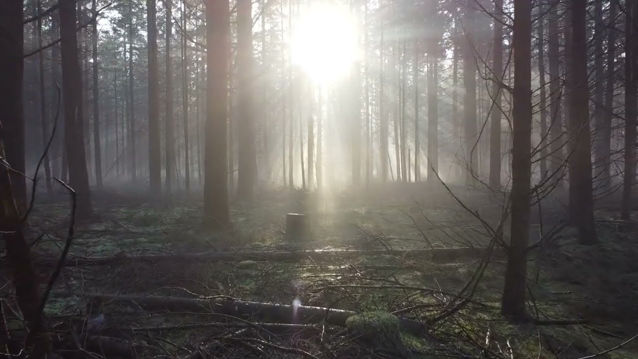 Drone footage | Collin Lim  - Fishbowl (Instrumental Version)