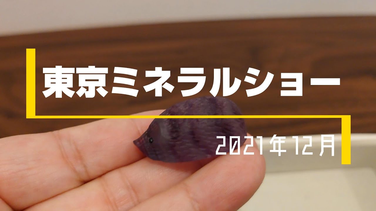 2021 第30回東京ミネラルショー　購入品紹介