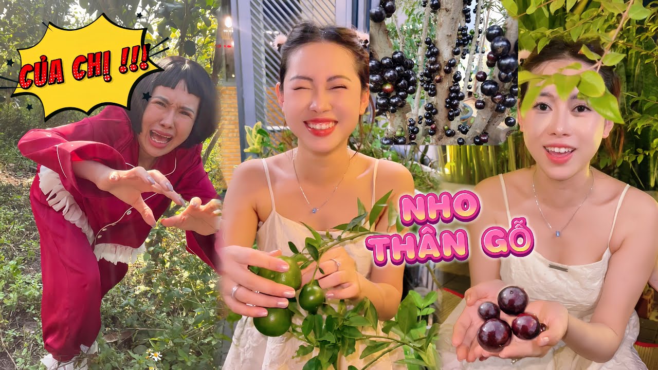 Thử Trái Lạ Tại Vườn Nhà BÀ TRÙM NÔNG SẢN Viên Vibi 😆