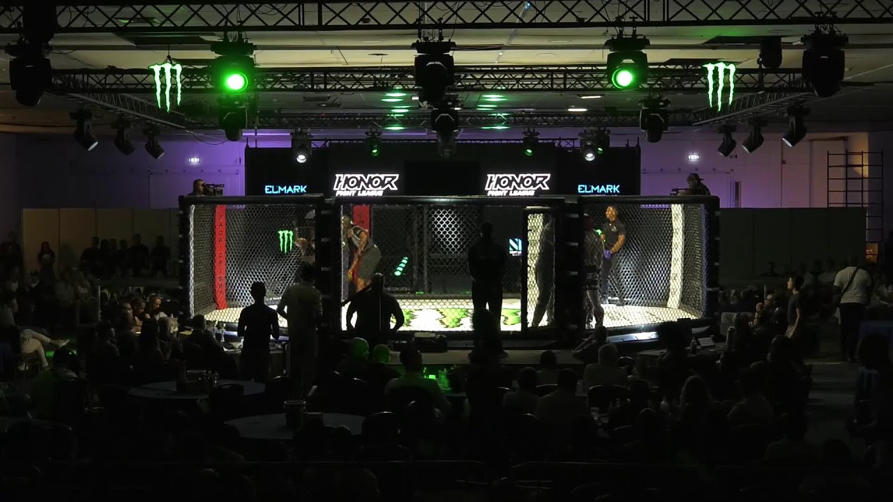 HONOR Fight League Live Stream