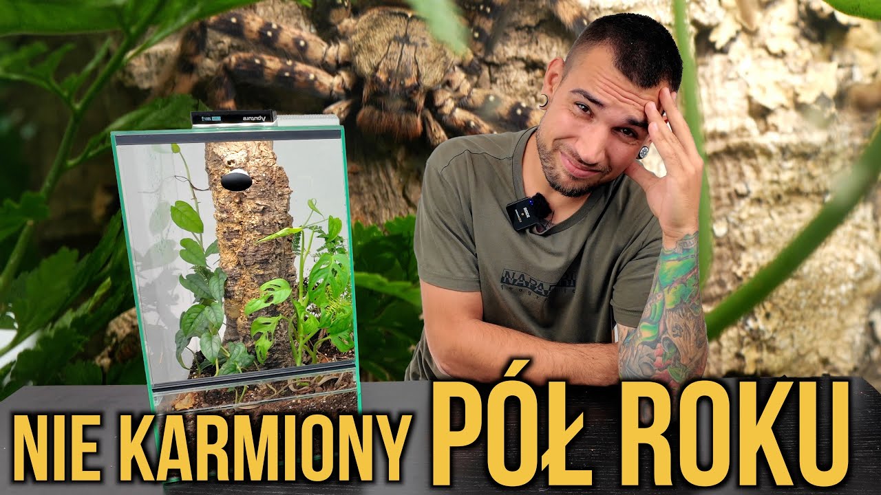 ŻYŁ bez mojej wiedzy PÓŁ ROKU 🤯 UKRYŁ SIĘ W PUSTYM TERRARIUM!  😮