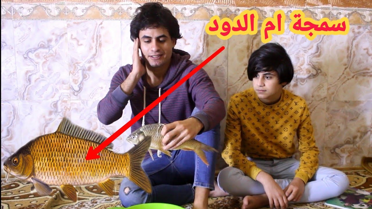 السمجه ام الدود تنتصر