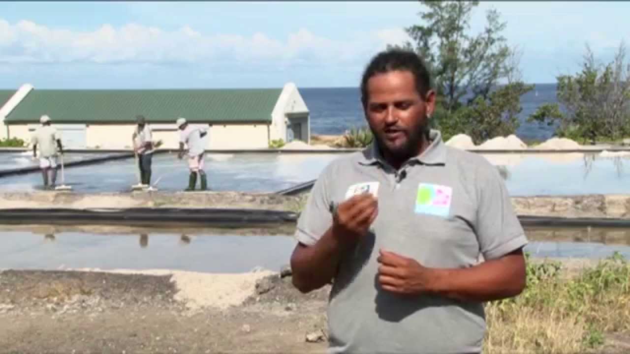 les sauniers de la pointe au sel