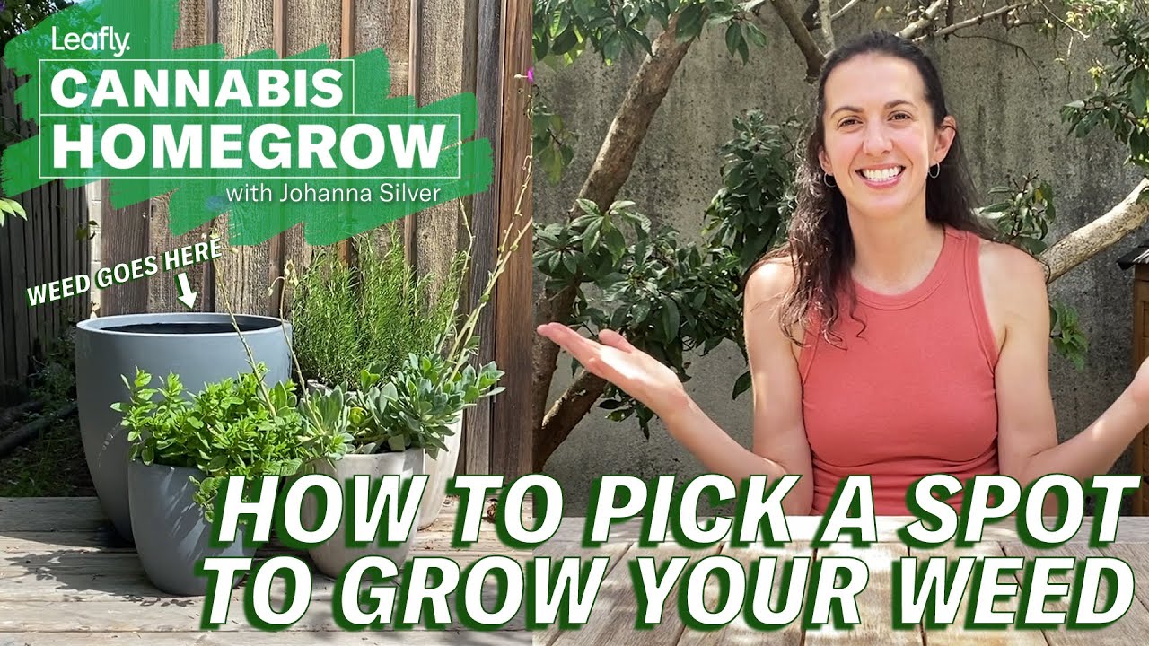 How to pick a spot to grow weed | Leafly Homegrow Series