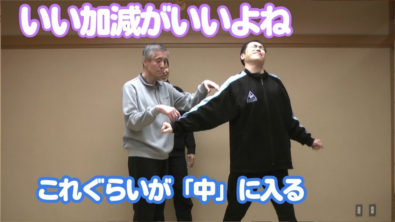 【これは何だ？】いい加減な感じで触れるとこうなった　【合気道を通した達人研究：たくみの会流体術】