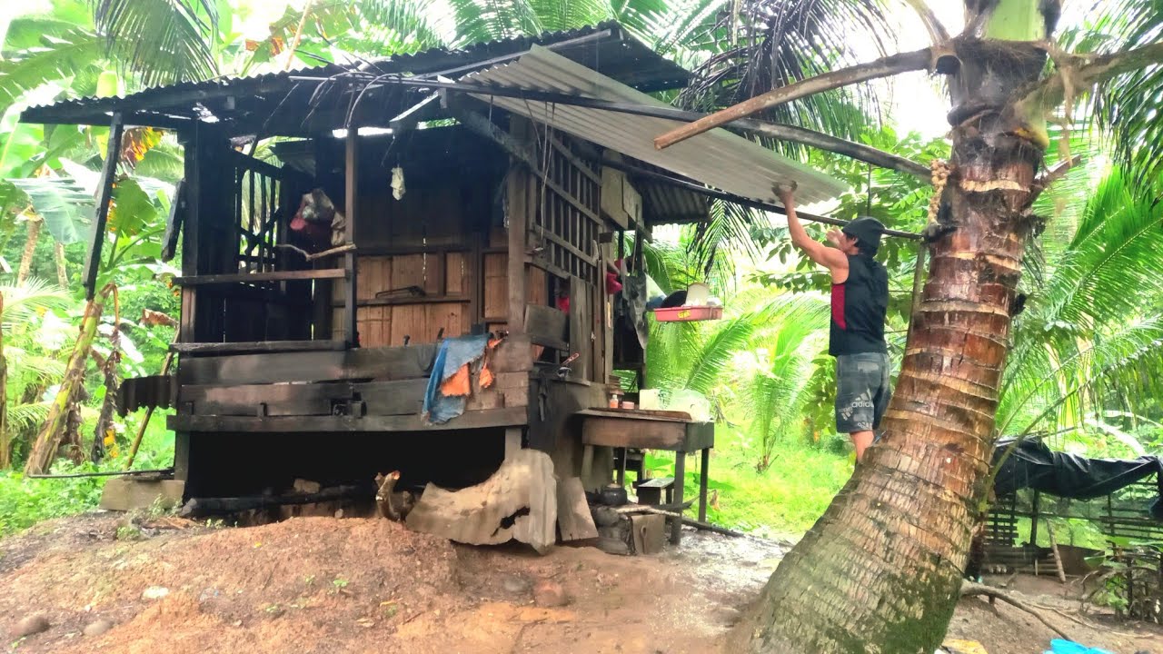Off-Grid Living in Philippines 🇵🇭 
