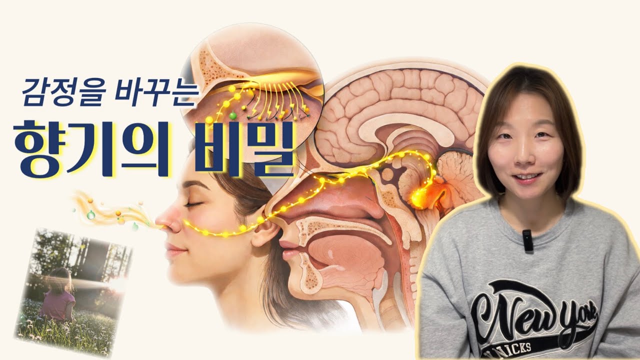 스트레스와 불안이 계속되는 이유 | 향기가 감정에 바로 작용하는 뇌과학