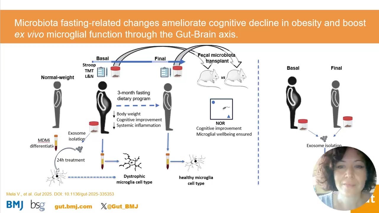 Microbiota changes ameliorate cognitive decline in obesity