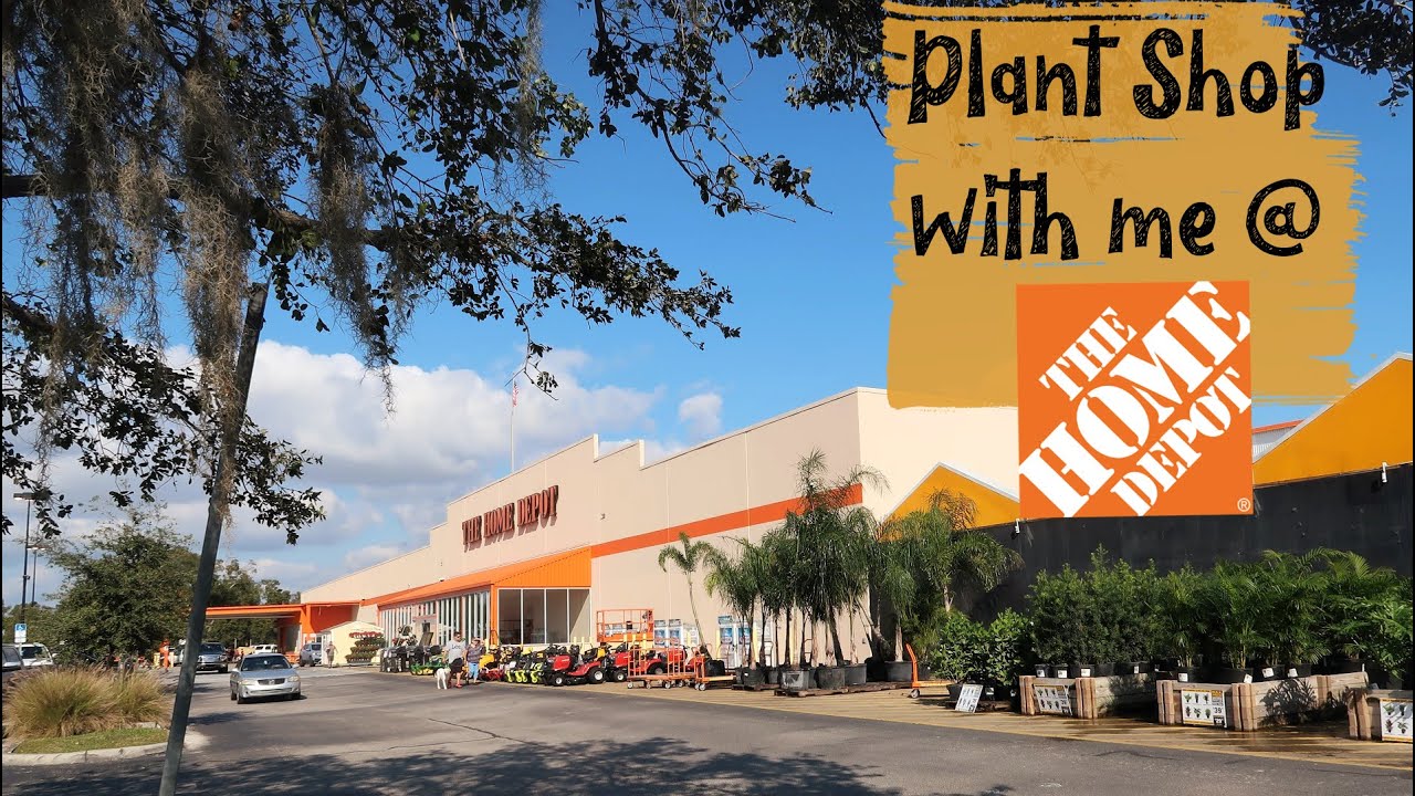 Home Depot Window Shopping for Plants - Shop With Me