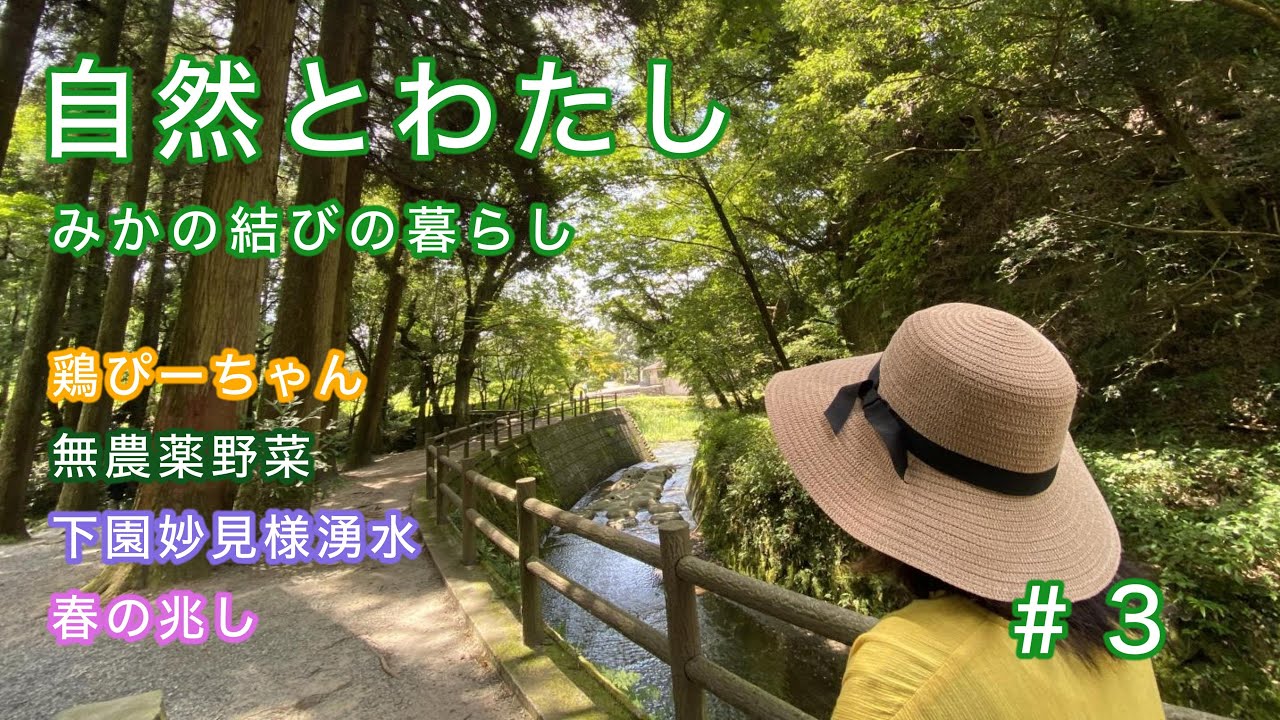 【田舎暮らし＃３】田舎暮らしの準備と今の自分達に出来ること