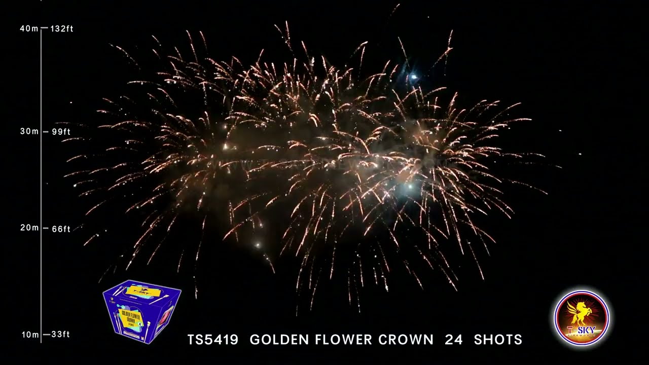 TS5419  GOLDEN FLOWER CROWN