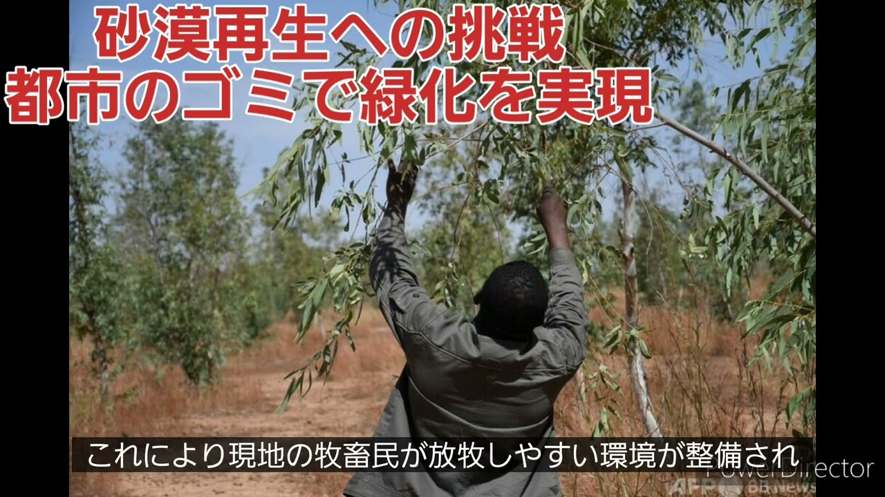 砂漠再生への挑戦:都市のゴミで緑化を実現