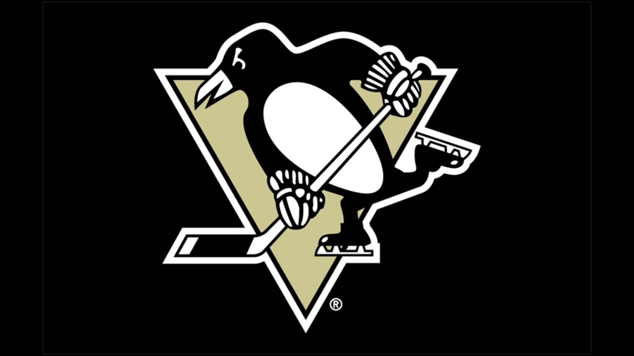 Pittsburgh Penguins 2009 Stanley Cup Finals Goal Horn