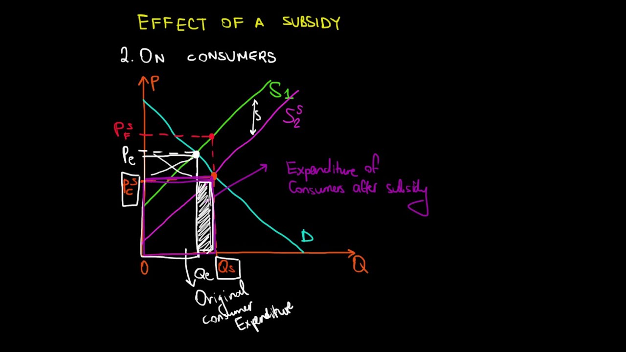 IB Economics | Effect Of Subsidy On Consumers