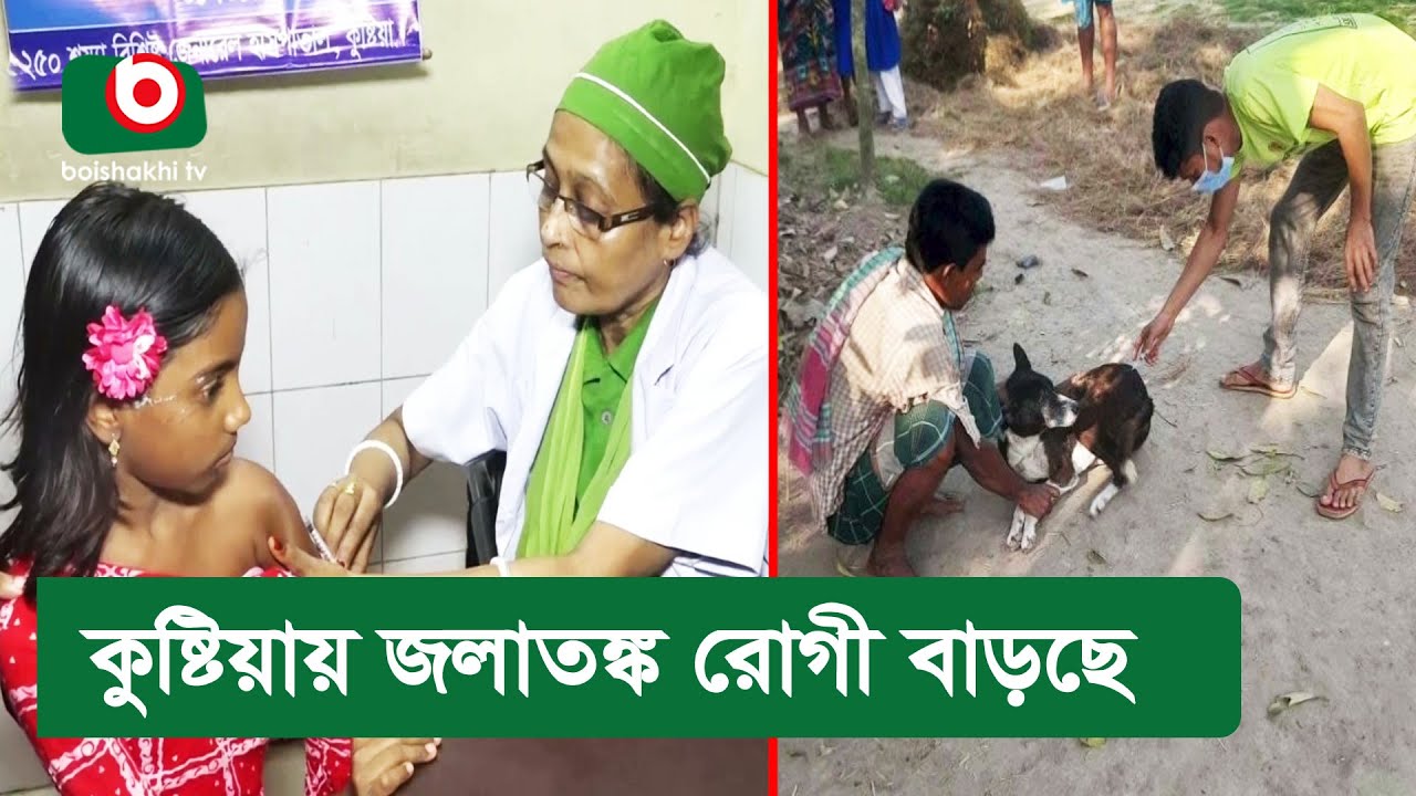 কুষ্টিয়ায় জলাতঙ্ক রোগী বাড়ছে
