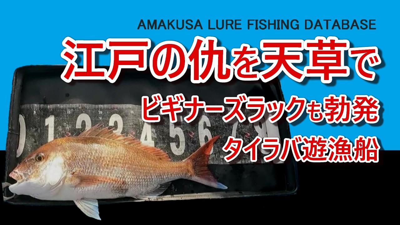 【遊漁船でタイラバ】やっぱり天草の海は最高だ！ 東京湾で撃沈した憂さを晴らす【初心者が65cm】