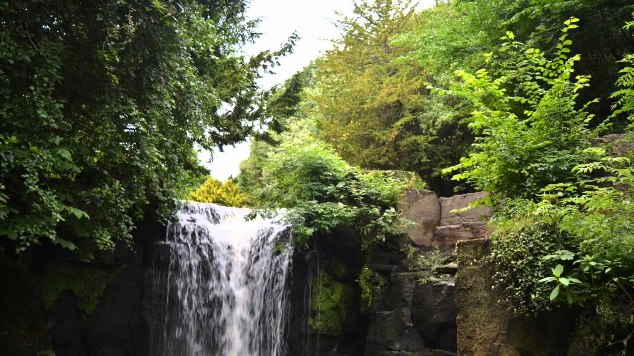 Natural Wonders of Jesmond Dene Trailer