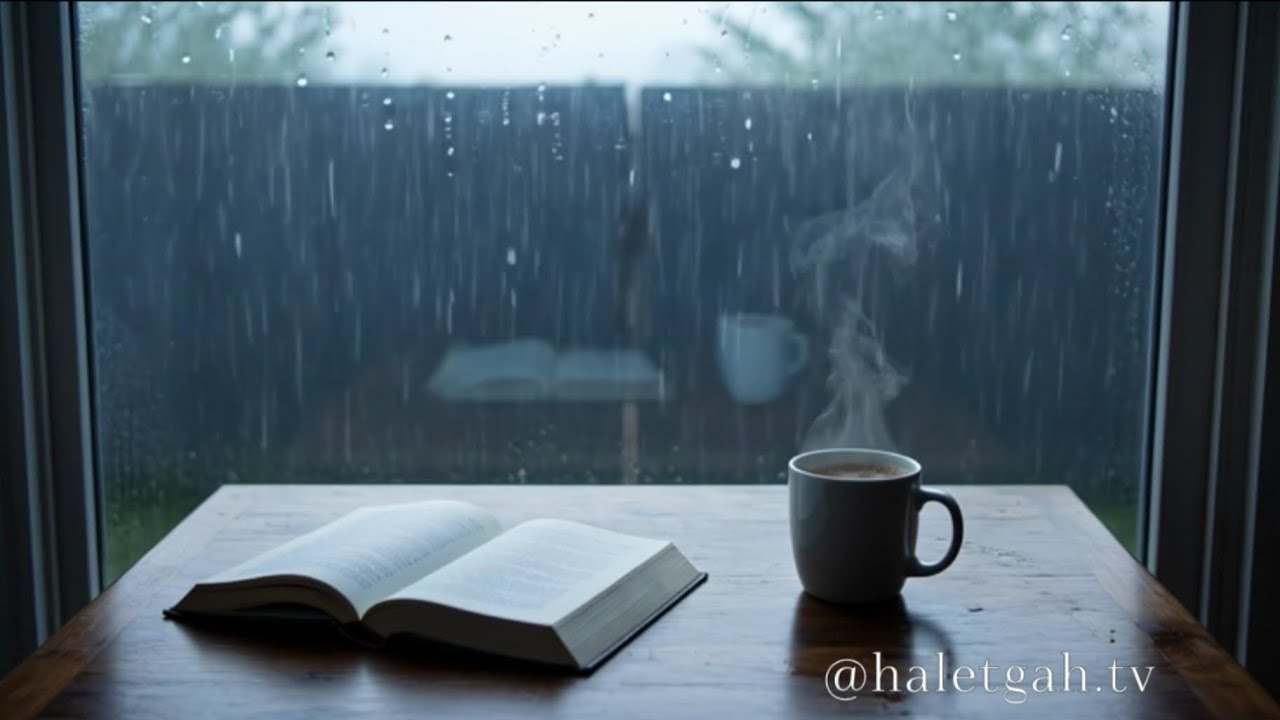 Kitap Okurken Bunu Aç 🌧️ 19 Dakika Yağmur & Derin Odak