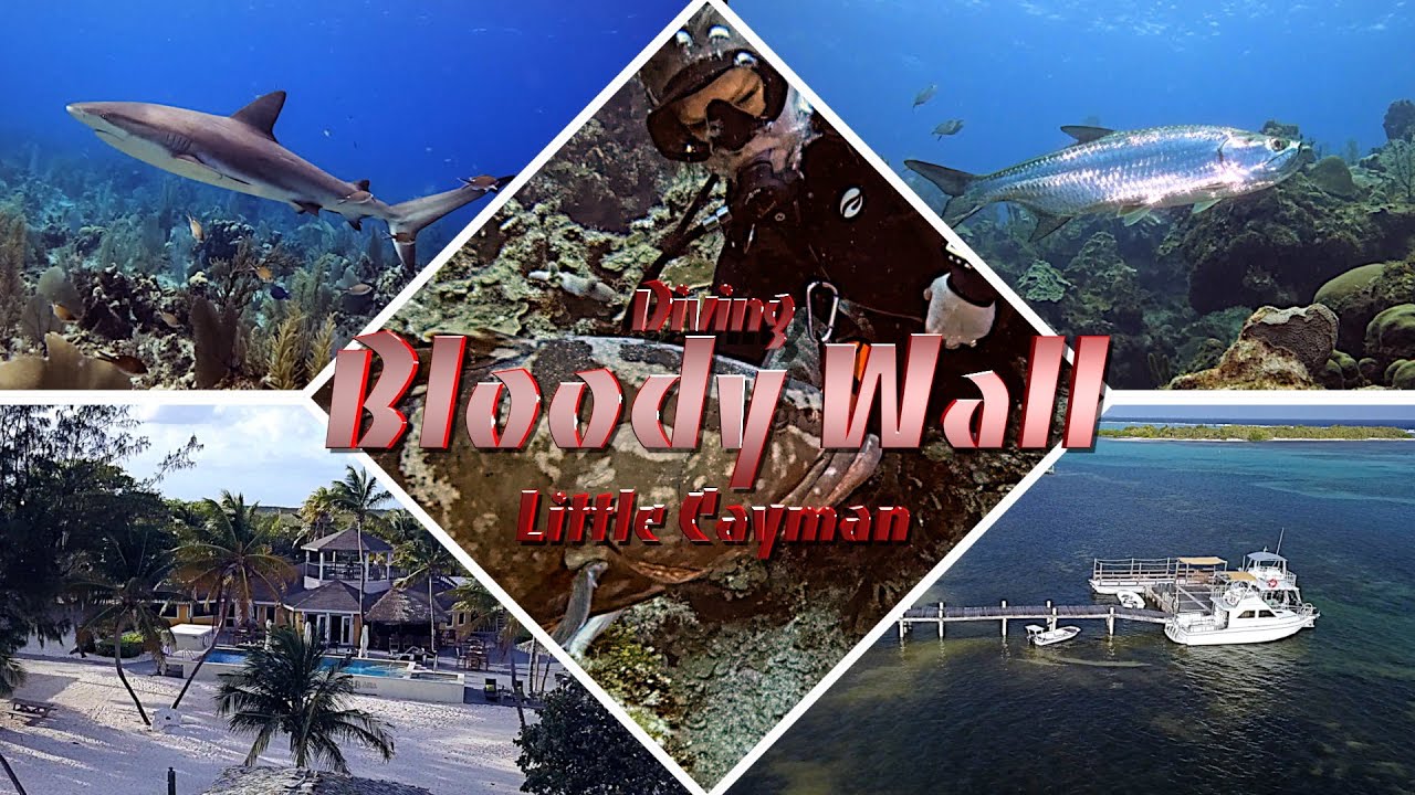 Diving Little Cayman Island, The Bloody Wall