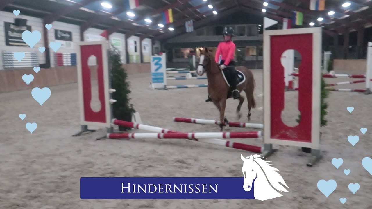 Bell en Verona gaan springen in Oud Gastel * Hart voor Paarden *