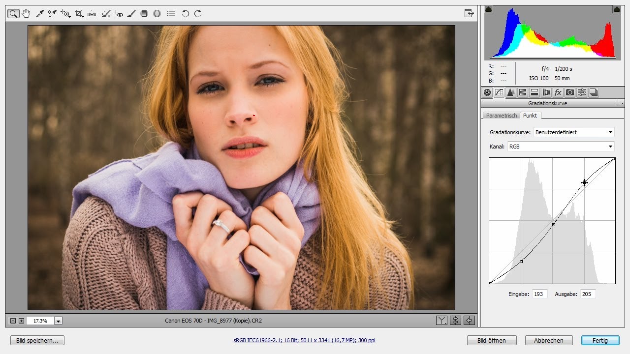 Was ist der RAW Converter - Teil 3 I Gradationskurven I TUTORIAL