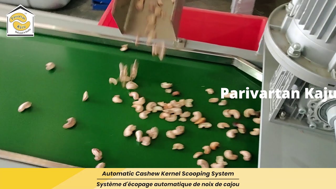 Advanced Technology Cashew Processing Plant & Machines by Parivartan Kaju House +91 95123 97976