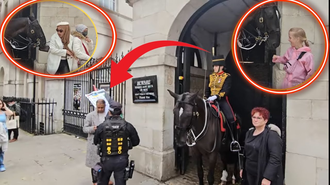 Armed Police Confronts And Removes this Protester For Disturbing The King’s Guard And Her Horse!