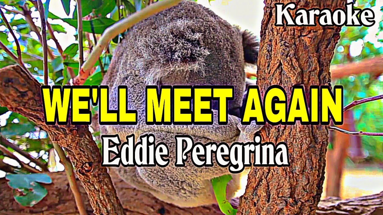 We’ll Meet Again - Eddie Peregrina | Karaoke