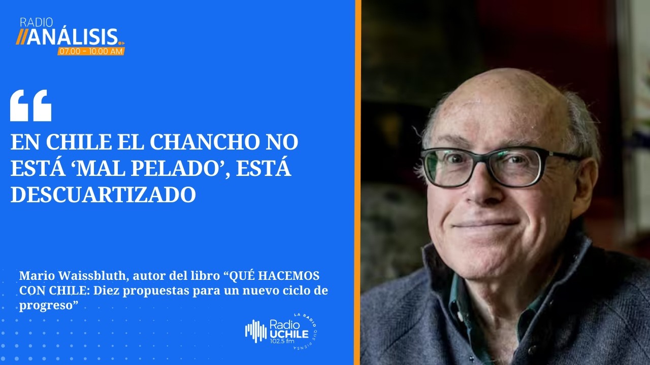 Mario Waissbluth y su nuevo libro: “En Chile el chancho no está 'mal pelado', está descuartizado”