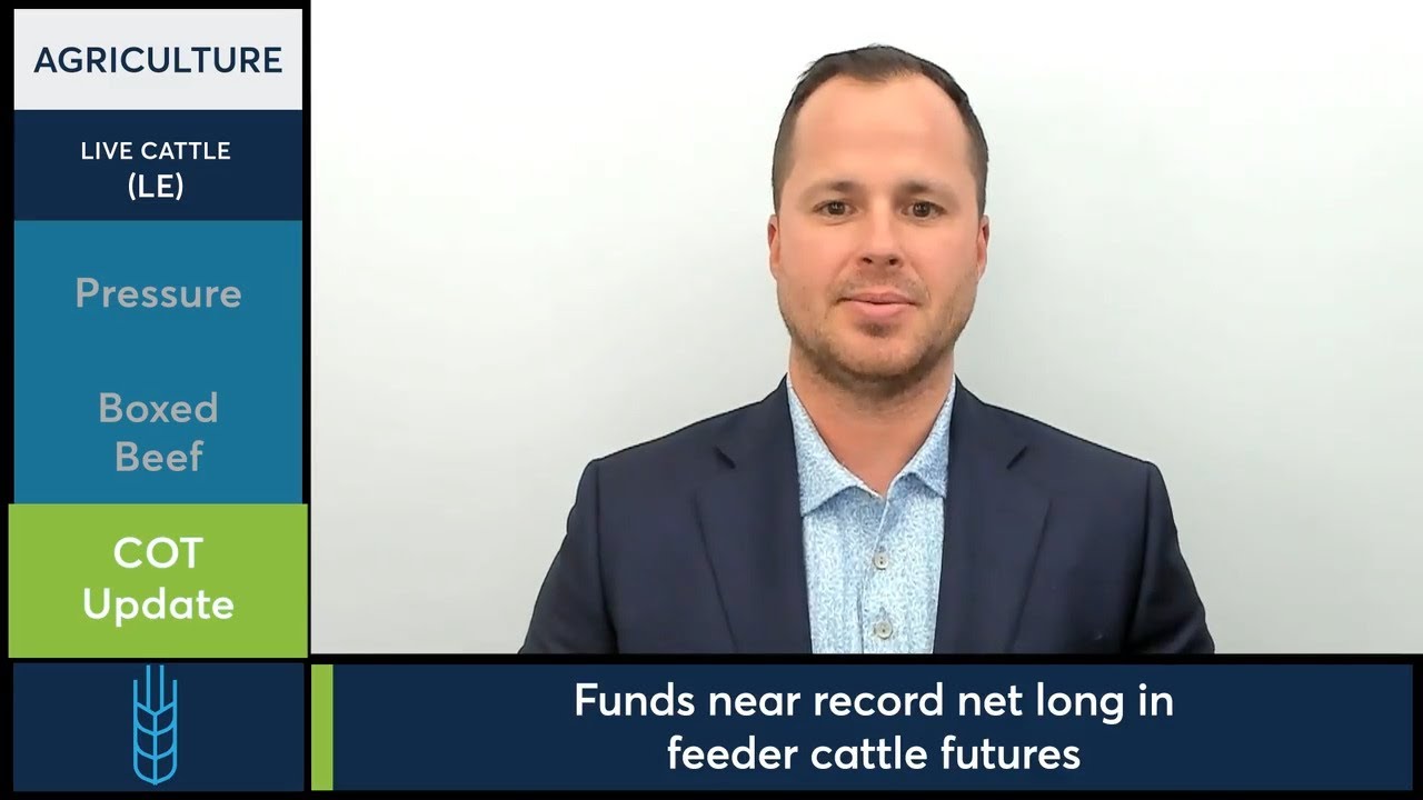 Cattle futures under pressure as funds build long positions. 5/27/25