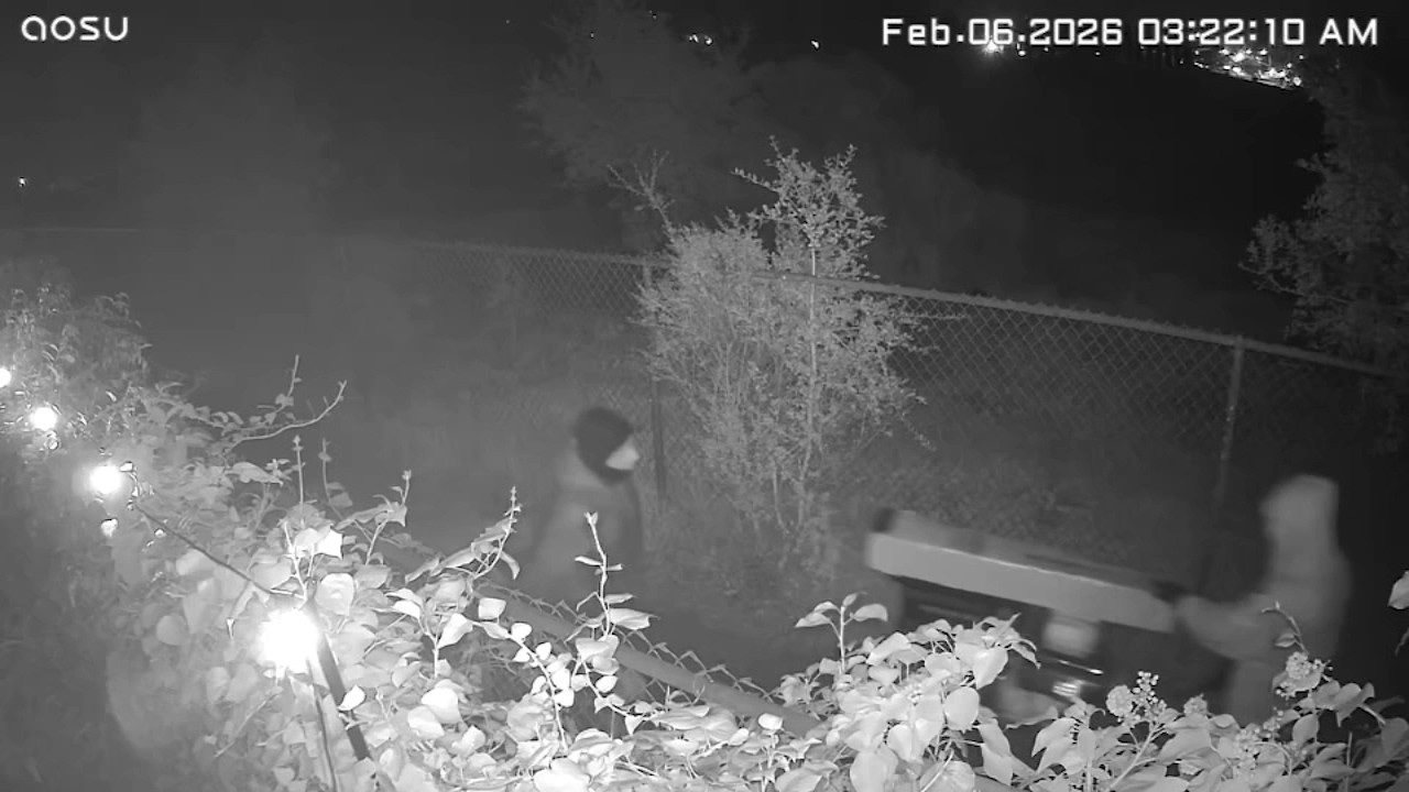 $15,000 worth of equipment stolen from Bay Area Little League team's clubhouse
