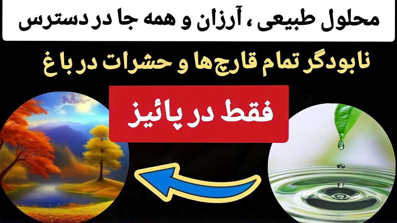با این محلول طبیعی تخم همه حشرات و آفات را در خزان نابود کن تا در سال آینده محصول عالی داشته باشی