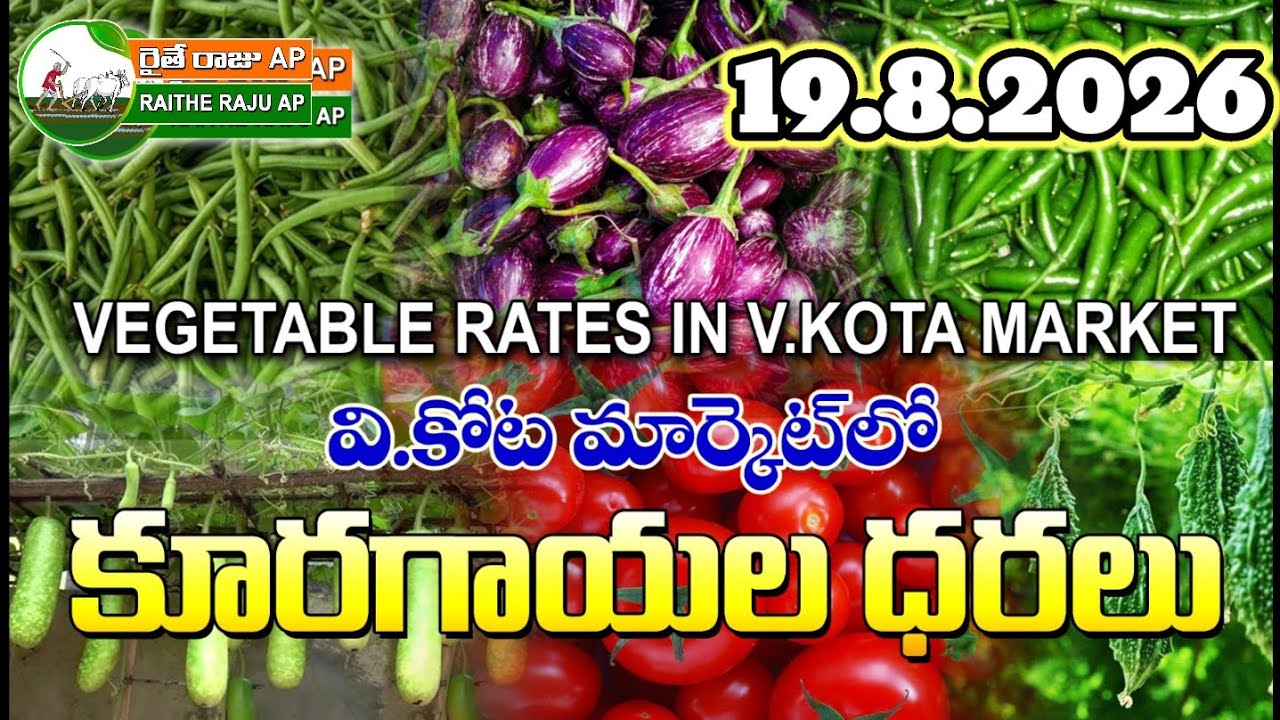 #AMC V.KOTA TODAY BEANS PRICE IN MARKET #ALL VEGETABLE PRICES #marigold 