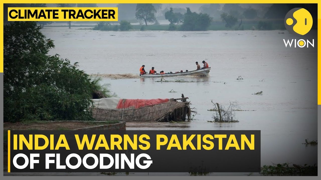 India Alerts Pakistan of Sutlej Flood Threat | WION CLIMATE TRACKER