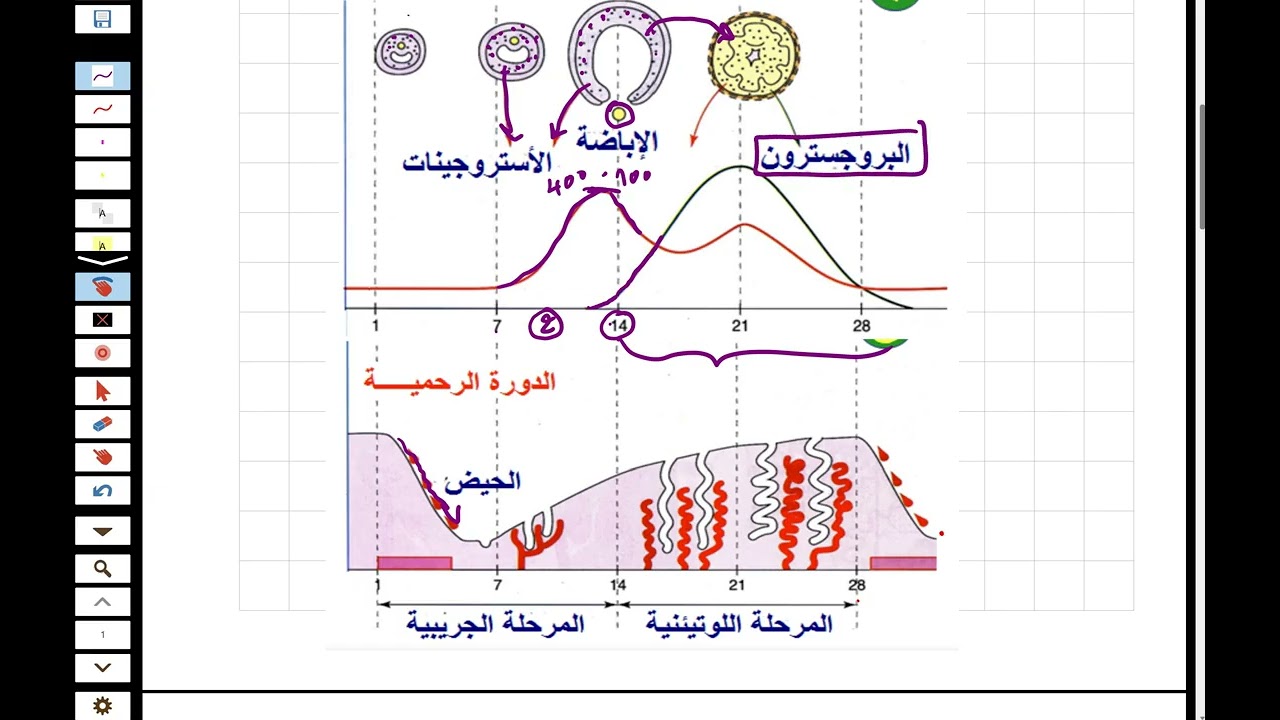 مكتسبات قبلية لدرس التنسيق العصبي الهرموني الثانية ثانوي ع ت