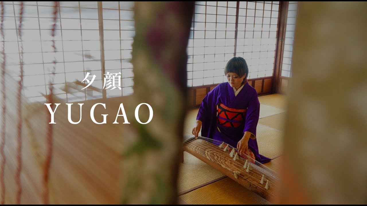 【古典・全曲】夕顔 YUGAO/ 明日佳 ASUKA【箏曲/箏奏者/琴奏者/KOTO】