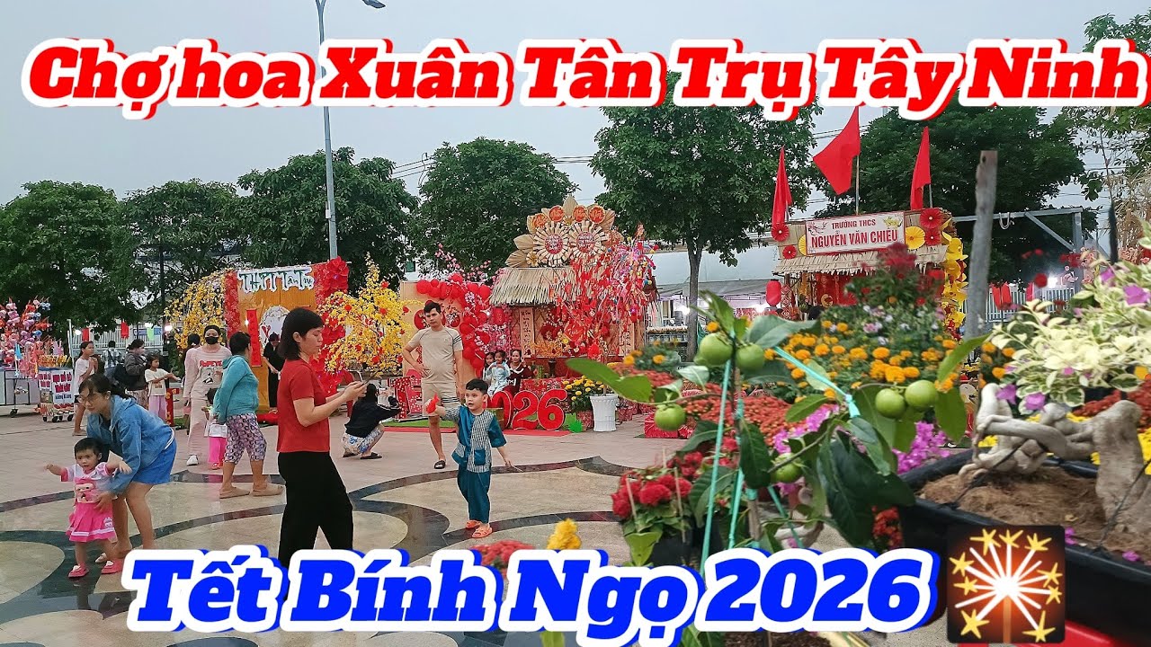 Chợ hoa Xuân Tân Trụ Tây Ninh tết Bính Ngọ 2026