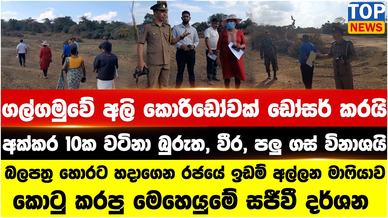 ගල්ගමුවේ අලි කොරිඩෝවක් ඩෝසර් කරයි - අක්කර 10ක වටිනා බුරුත, වීර, පලු ගස් විනාශයි