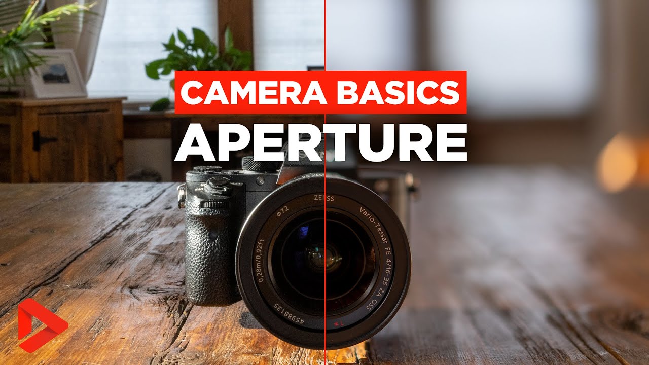 Understanding Aperture | Wedding Film School Camera Basics