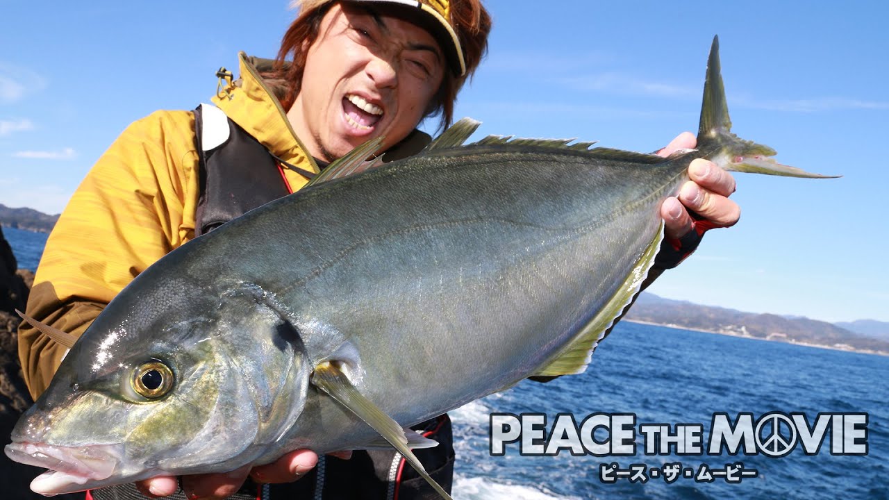 PEACE THE MOVIE #16「伊豆で寒グレ釣り！あわよくばシマアジ！」フカセ釣り・伊豆半島沖横根の旅(後編)/平和卓也(679)