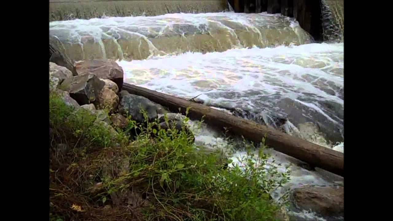 Kaz vs Wild The natural beauty of a Michigan river