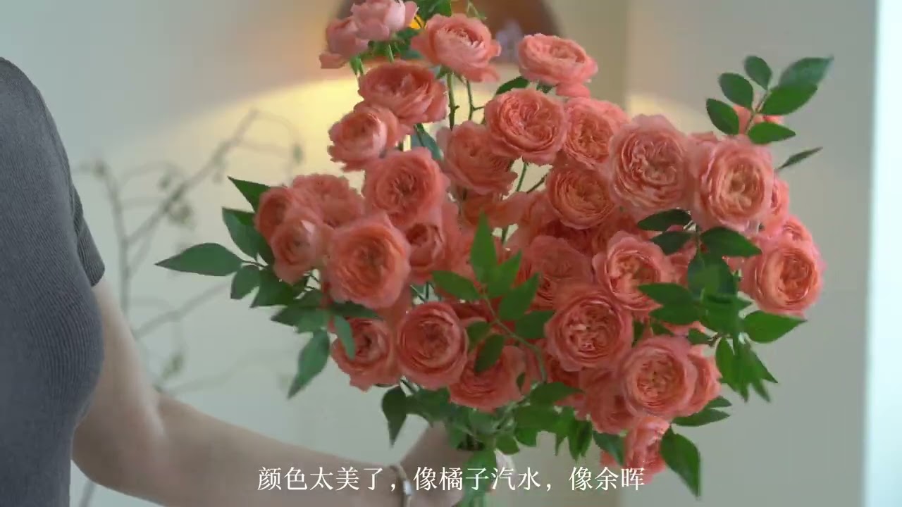 枝晓橘子汽水味的花 我的女孩呀这束花送你哇vlog 治愈系 好看的花花一定要分享给你#flowers #bouquet