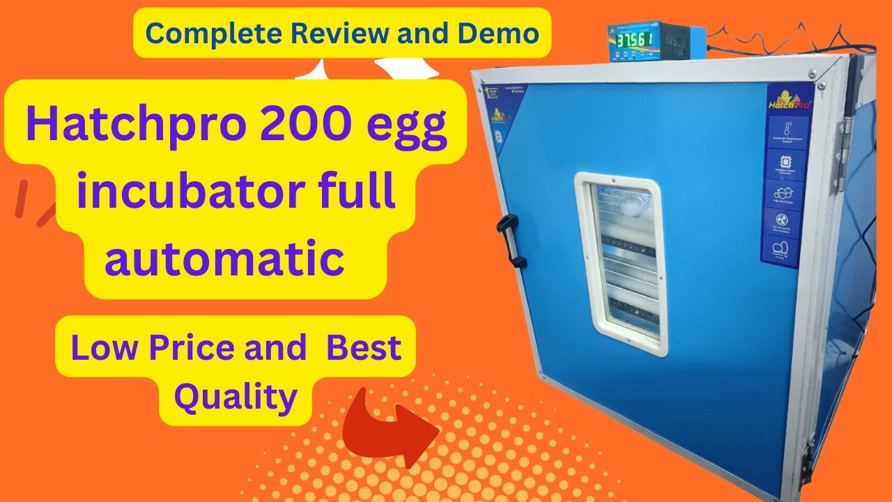Latest Hatchpro 200 egg incubator egg incubator full automatic | Egg turning automatic | Low price