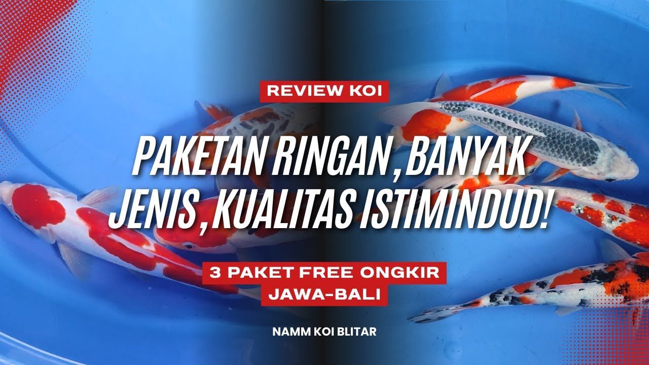 Paketan ringan-ringan, banyak jenis, kualitas istimindud!