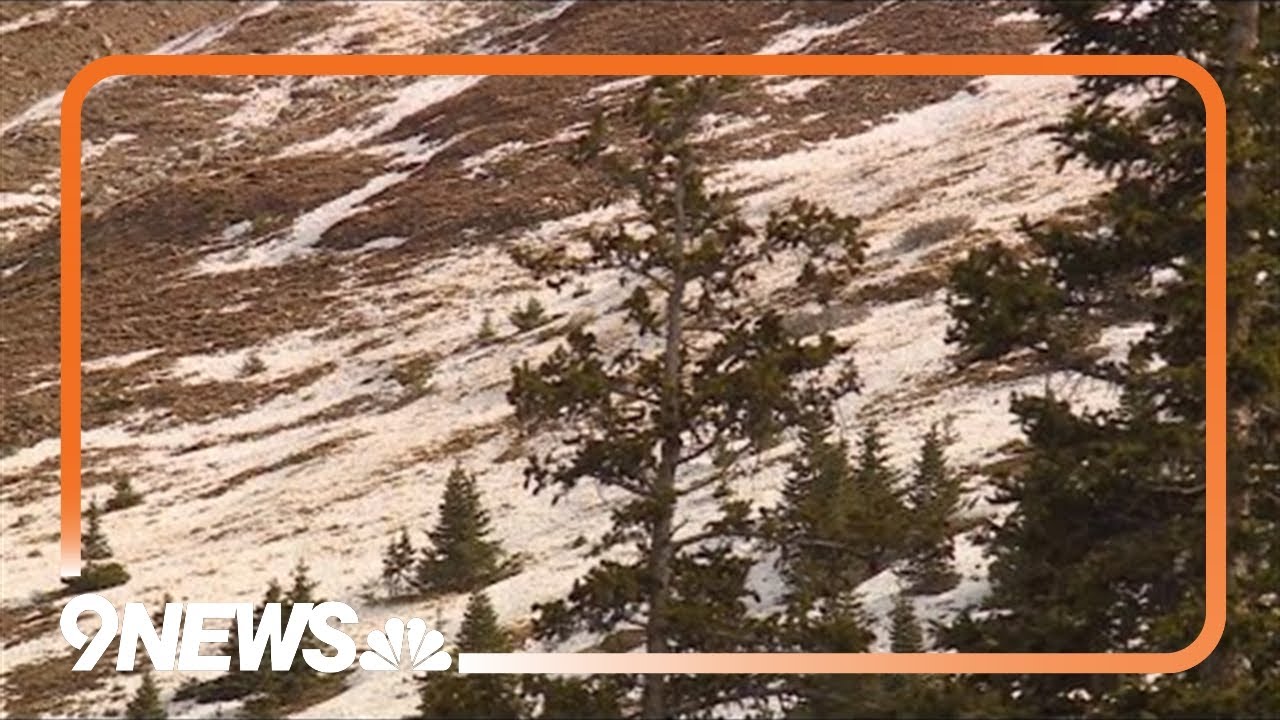 2025 snowpack tied for worst in state history