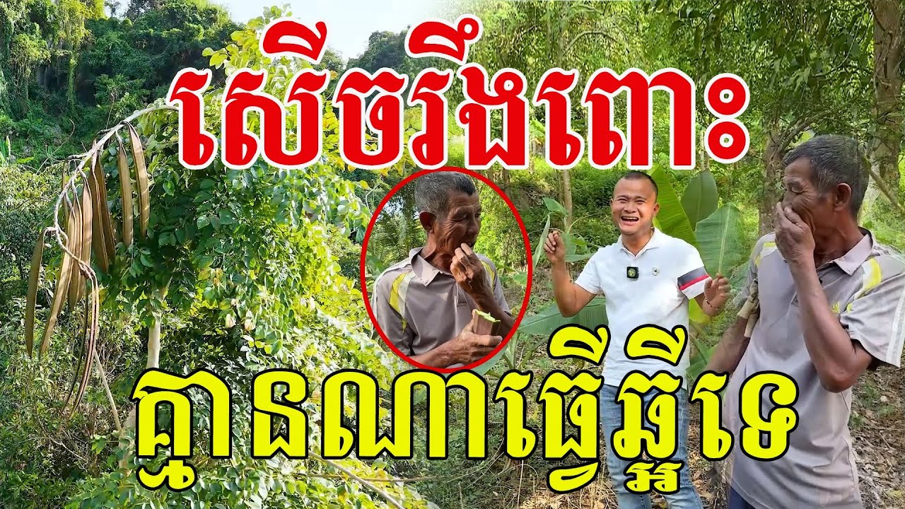 សើចរឹងពោះ ពូថាគ្មានណាគេធ្វើឆ្អីទេ ចុងក្រោយគាត់ថាឆ្ងាញ់