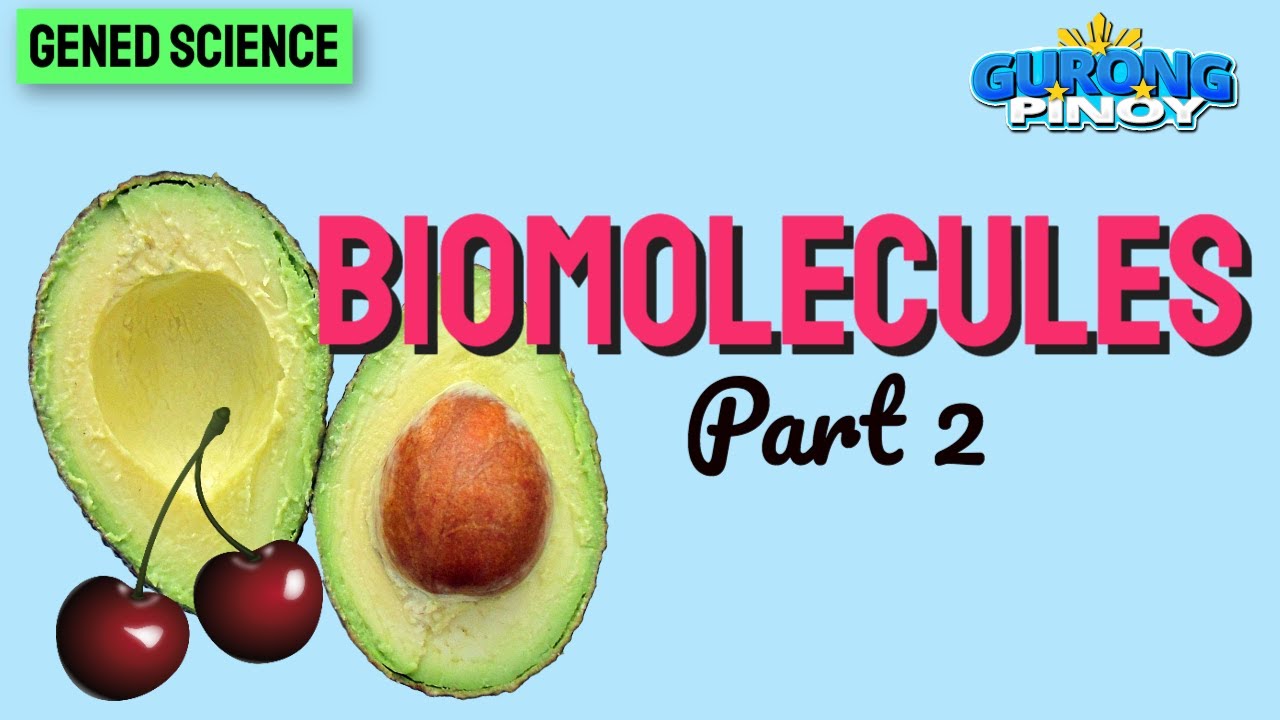 Biomolecules (Part 2) I Reviewer for LET Gened Science I Biology