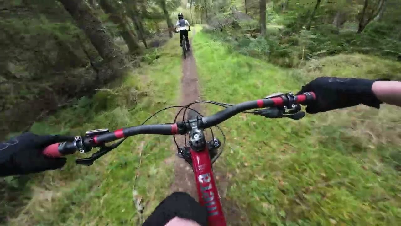 Kielder Forest Deadwater MTB Trail - Northumberland